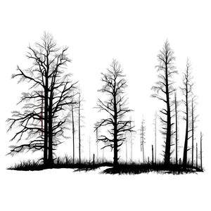 Creepy Fogged Trees PNG 83