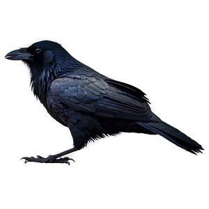 Creepy Raven In Fog Png 06122024 PNG image