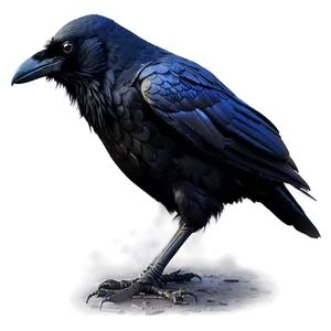 Creepy Raven In Fog PNG Jwp PNG