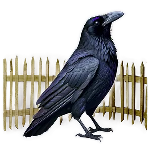 Creepy Raven PNG 37