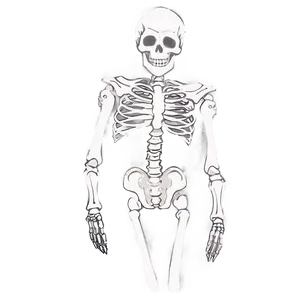 Creepy Skeleton Png 28 PNG image