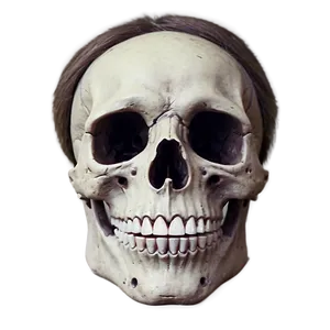 Creepy Skeleton Png 96 PNG image