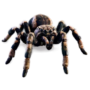 Creepy Tarantula Close-up Png 06132024 PNG image