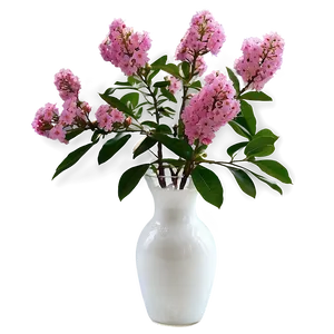 Crepe Myrtle In Vase PNG 06282024