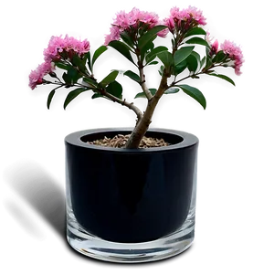 Crepe Myrtle In Vase PNG 06282024