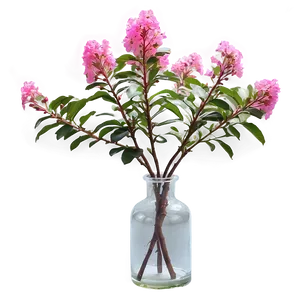 Crepe Myrtle In Vase PNG Dnl98