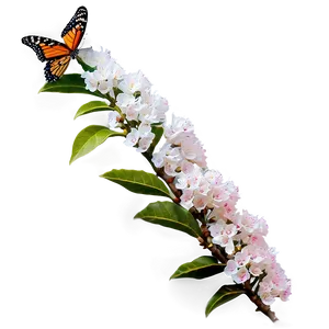 Crepe Myrtle With Butterflies PNG Dom