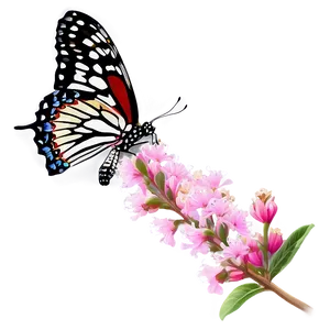 Crepe Myrtle With Butterflies PNG Nss