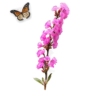 Crepe Myrtle With Butterflies PNG Urx
