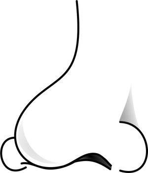 Crescent Moon Illusion Nose Profile PNG image