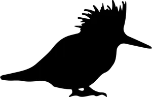 Crested Bird Silhouette Graphic PNG image