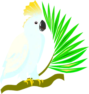Crested Cockatoo Vector Illustration PNG image