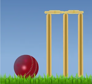 Cricket Balland Stumps PNG image