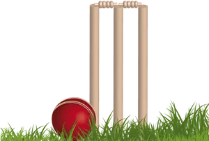 Cricket Balland Stumps PNG image