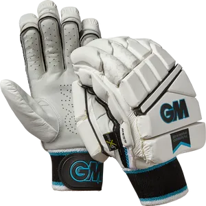 Cricket Batting Gloves G M Diamond Original PNG image