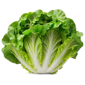 Crinkly Lettuce Png Oib43 PNG image