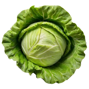 Crinkly Lettuce Png Rwr87 PNG image