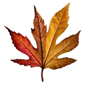 Crisp Autumn Leaf Png 91 PNG image