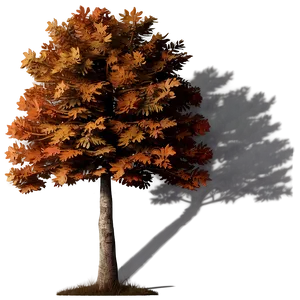 Crisp Autumn Tree Shadow PNG 56