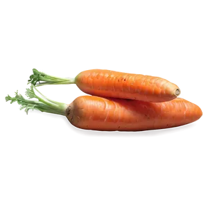 Crisp Carrot PNG 06132024