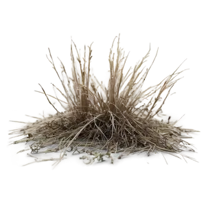 Crisp Dead Grass Png 06282024 PNG image