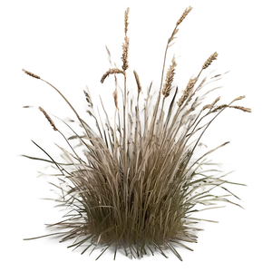 Crisp Dead Grass Png 06282024 PNG image