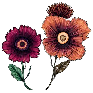 Crisp Fall Flowers PNG Aqy PNG