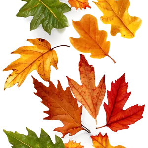 Crisp Fallen Leaves Texture Png Yee PNG image