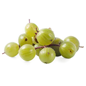 Crisp Gooseberry PNG 05232024