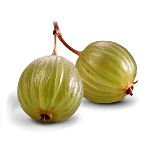 Crisp Gooseberry PNG Fid84