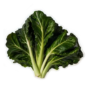 Crispy Collard Greens PNG 72