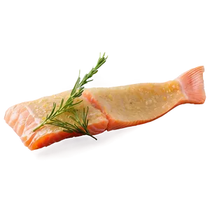 Crispy Salmon Skin Png 35 PNG image
