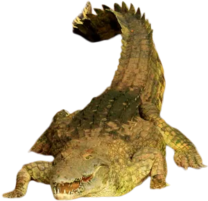 Crocodile Open Mouth Pose PNG image