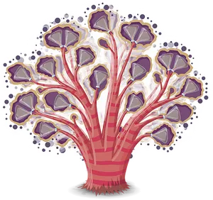 Cross Section Illustrationof Tree