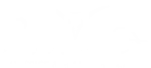 Crossroads Hospice Palliative Care Logo PNG image