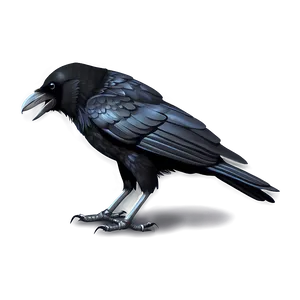Crow Clipart PNG 05232024