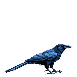 Crow Drawing PNG 87