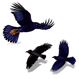 Crow Flock PNG Gwn32