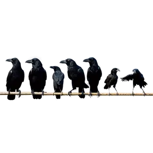 Crow Flock PNG Wpw41