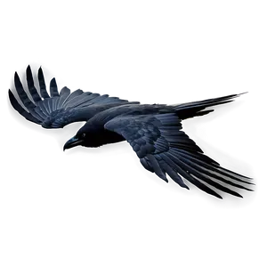 Crow In Flight PNG 26