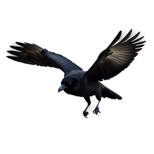 Crow In Flight PNG 5