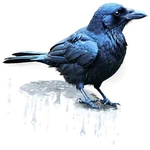 Crow In Rain PNG Tur PNG