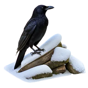 Crow In Snow PNG 98 PNG