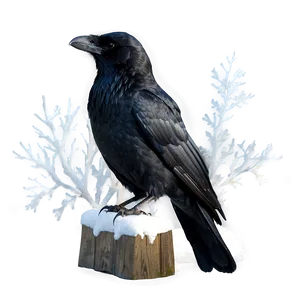 Crow In Snow PNG Qtu