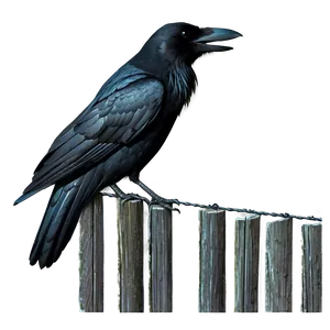Crow On Fence PNG 56 PNG