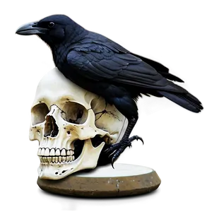 Crow On Skull PNG 86 PNG