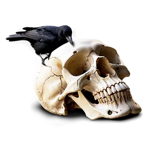 Crow On Skull PNG Dwl93 PNG