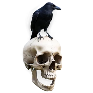 Crow On Skull PNG Tun PNG