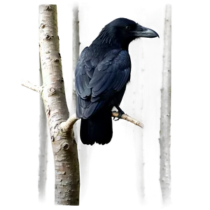 Crow On Tree Top PNG Rxl2 PNG