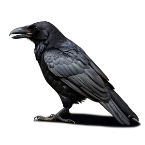 Crow Silhouette PNG Uxv91